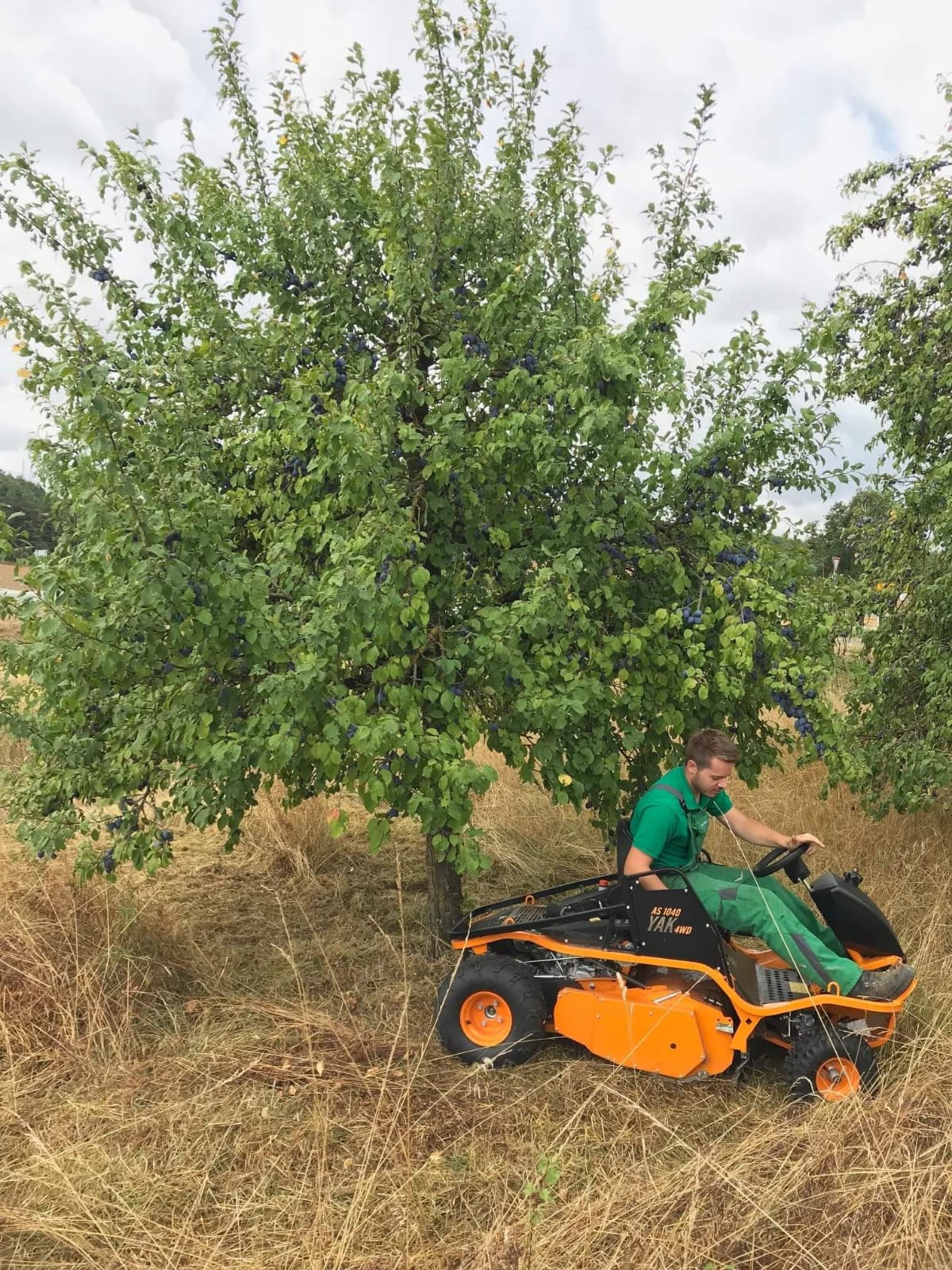 Rasenpflege in Action